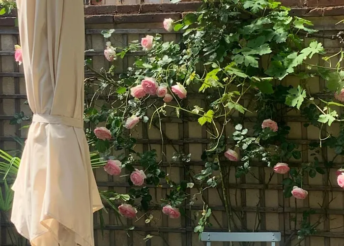 Les Loges Des Апартаменты *